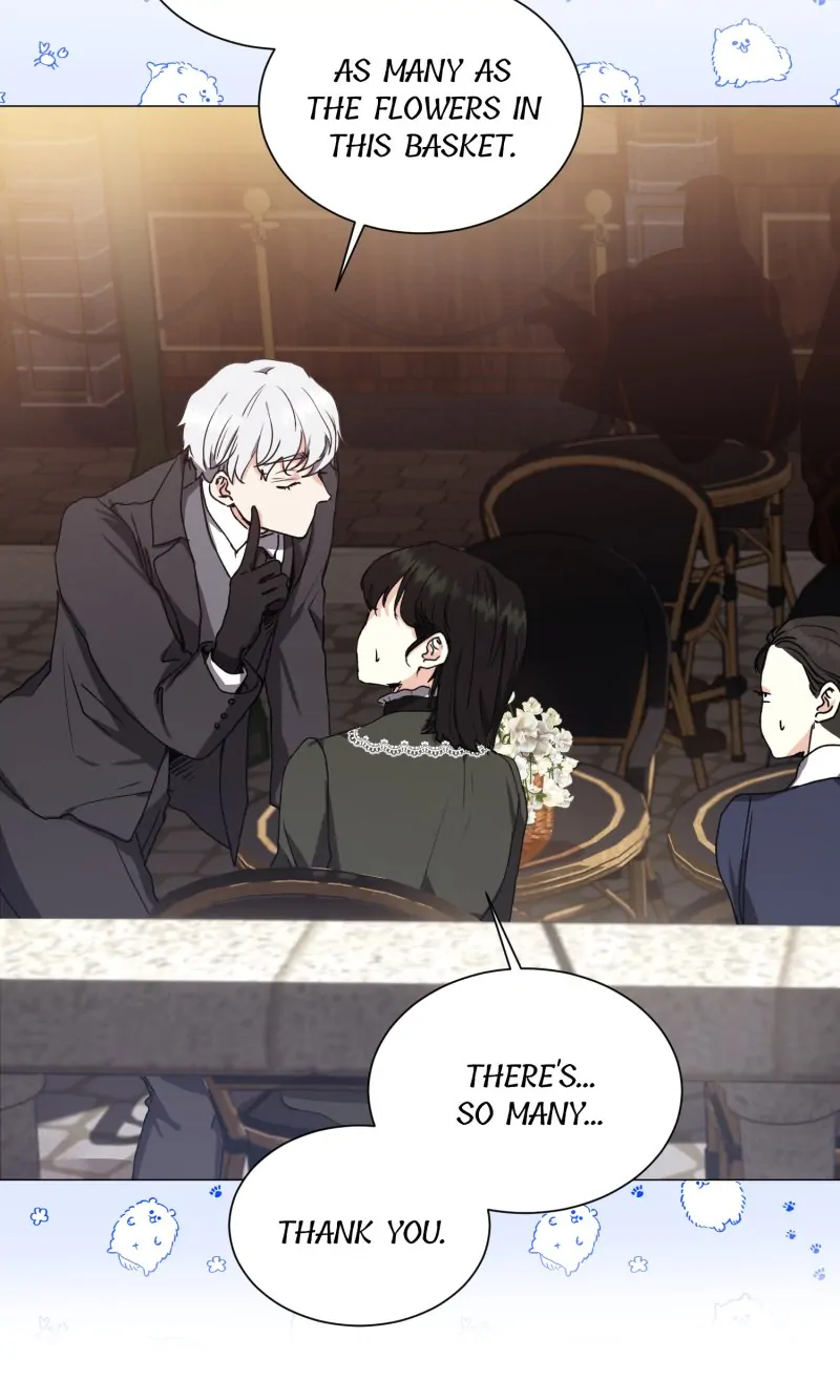 42337466 800 1333 62516